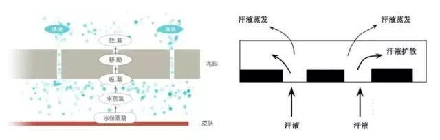 定型机,涂层机,地毯机,地毯背胶机,静电植绒机